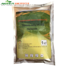 Herbicidas de fornecimento de facctory chineses Tribenuron-methyl 75% WDG